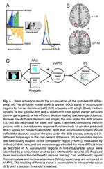 Decision neuroscience